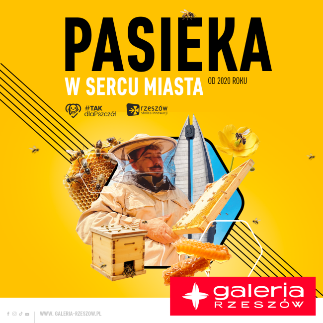 Pasieka w Sercu Miasta